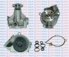 AQUAPLUS 85-1350 Water Pump